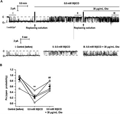 Cholesterol Stimulates the Transient Receptor Potential Melastatin 4 Channel in mpkCCDc14 Cells